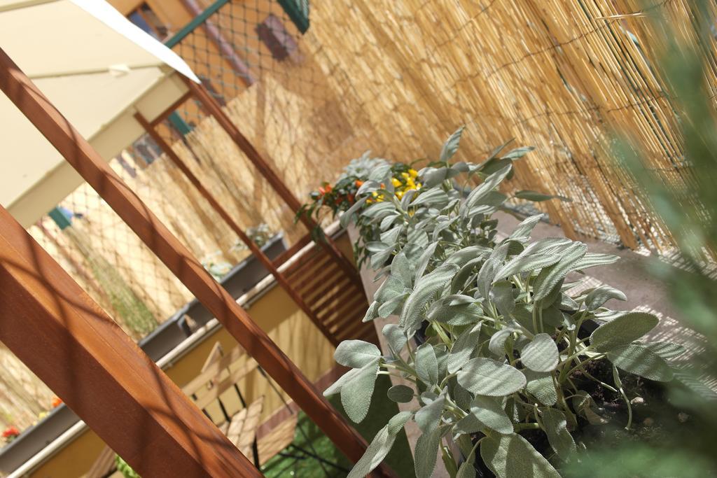 Candia Green House B&B Roma Exterior foto